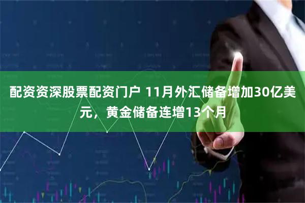 配资资深股票配资门户 11月外汇储备增加30亿美元，黄金储备连增13个月